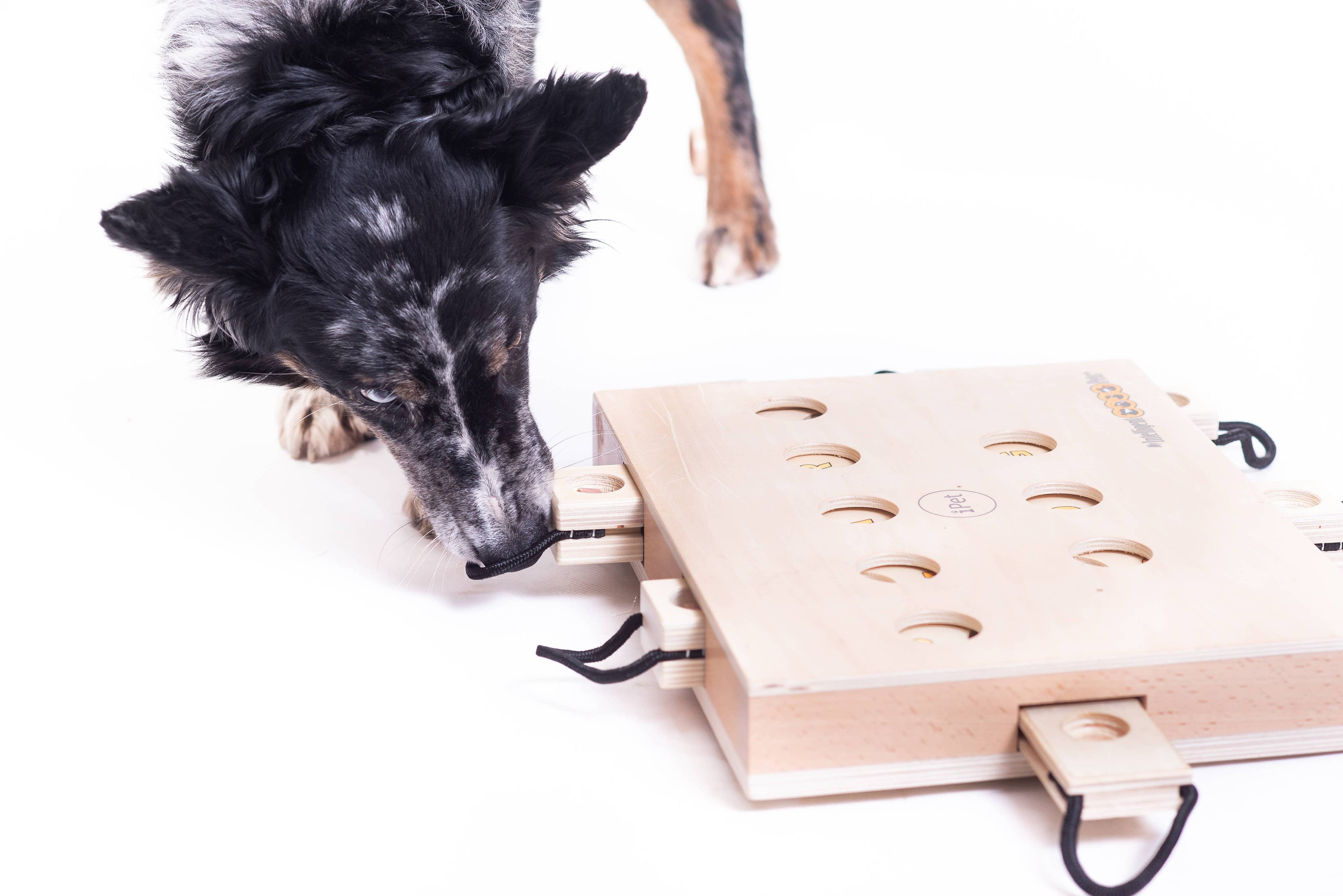 IPet - Smart Dog