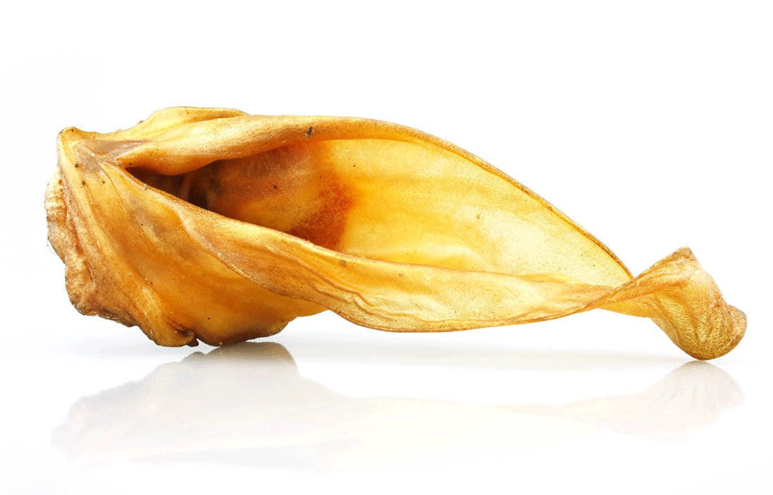 Rinderohren ohne Fell