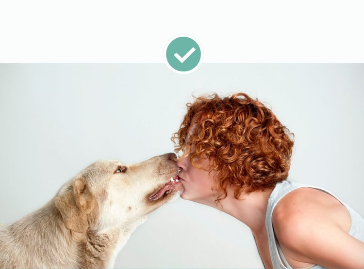 Tales & Tails LammTastisch InsZähniert