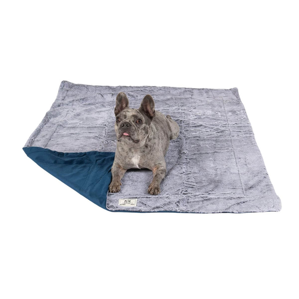 Dog Gone Smart Chill Kuzzi Blanket