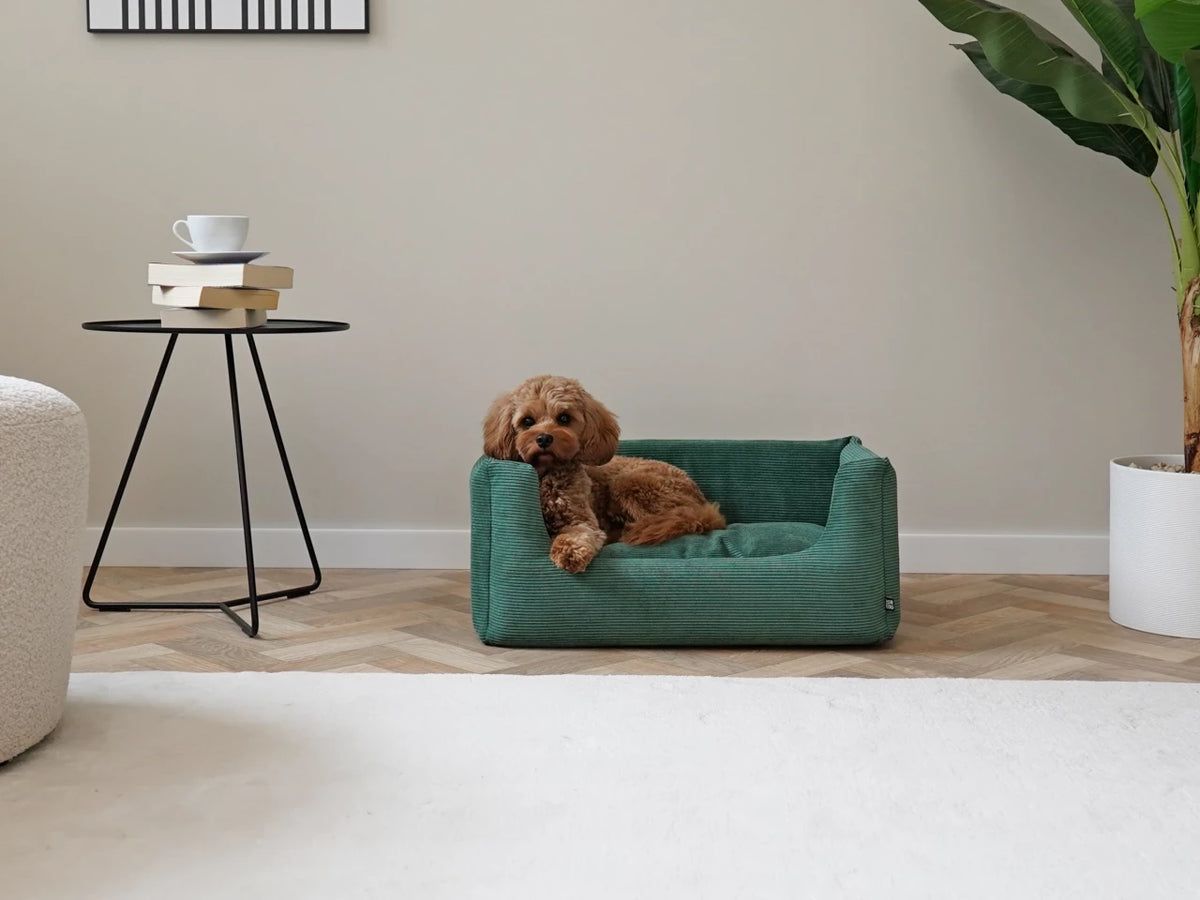 Mypado® Hundebett Shara Microcord