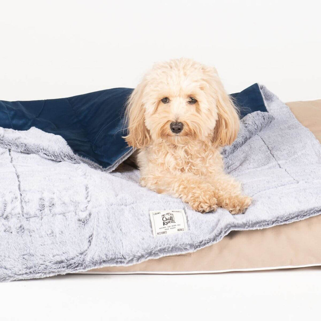 Dog Gone Smart Chill Kuzzi Blanket