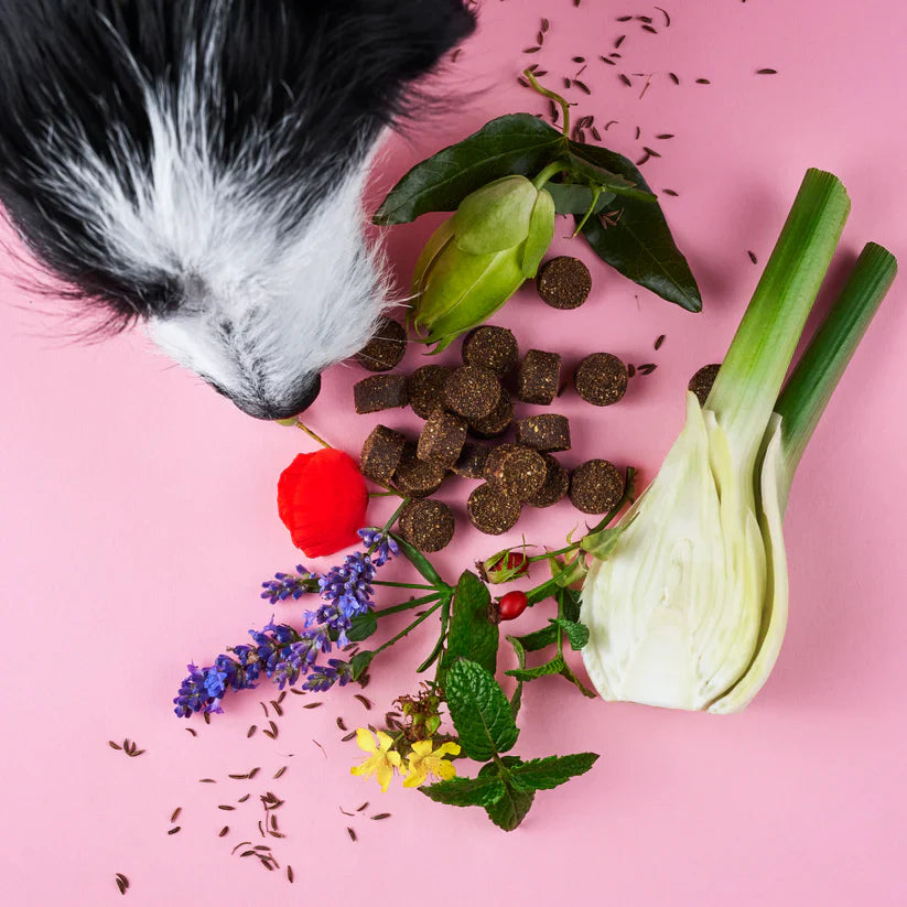 Tierliebhaber Chillout Drops 350g