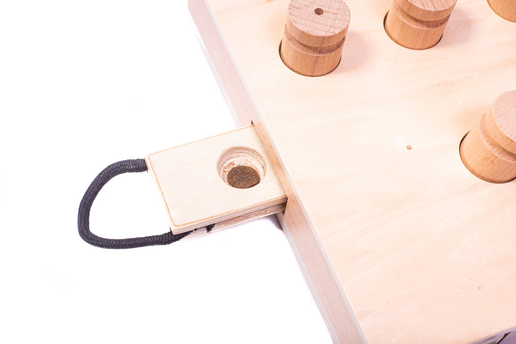 IPet - Smart Dog