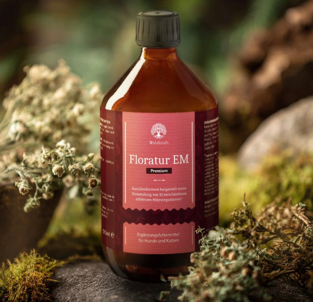 Floratur EM Premium - Hergestellt mit Effektiven Mikroorganismen - 510ml