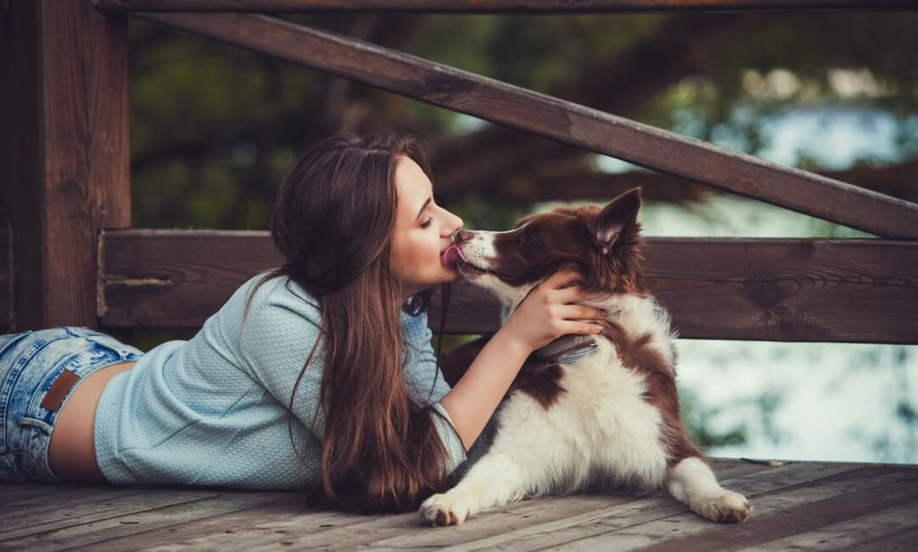 Tales & Tails LammTastisch InsZähniert