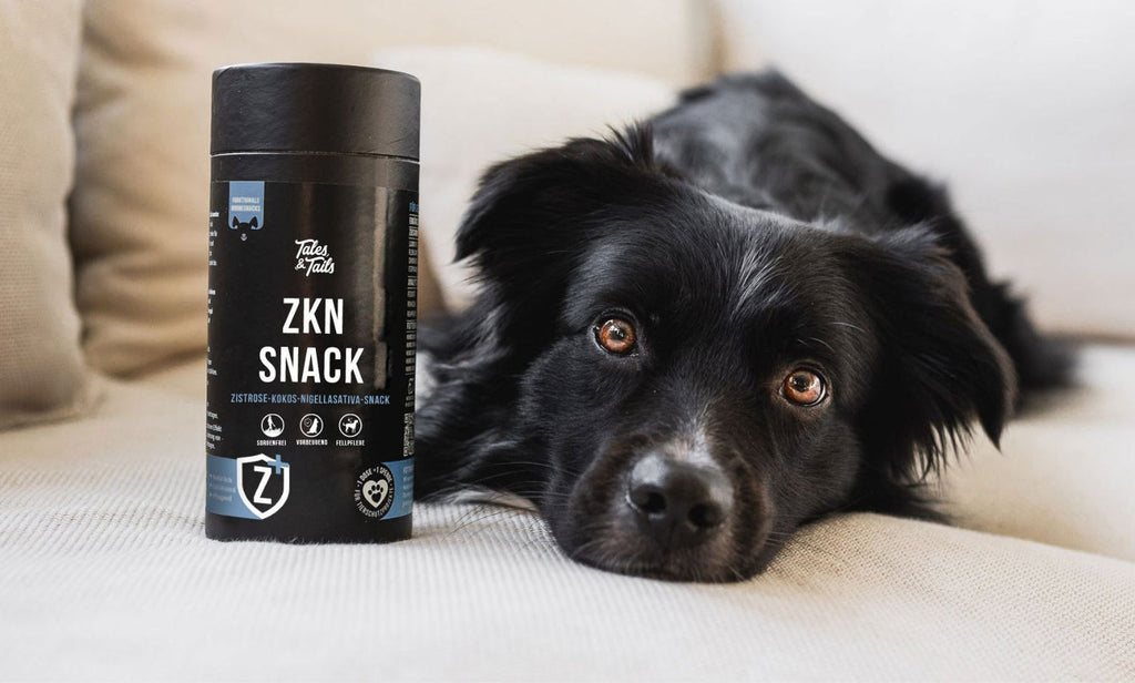 Tales & Tails ZKN-Snack, 325g