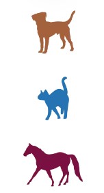 PerNaturam Shampoo-Spray (500 ml)