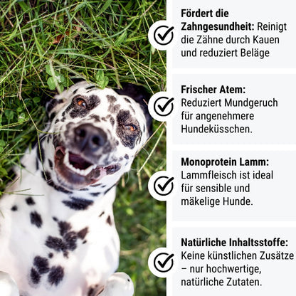 Tales & Tails LammTastisch InsZähniert