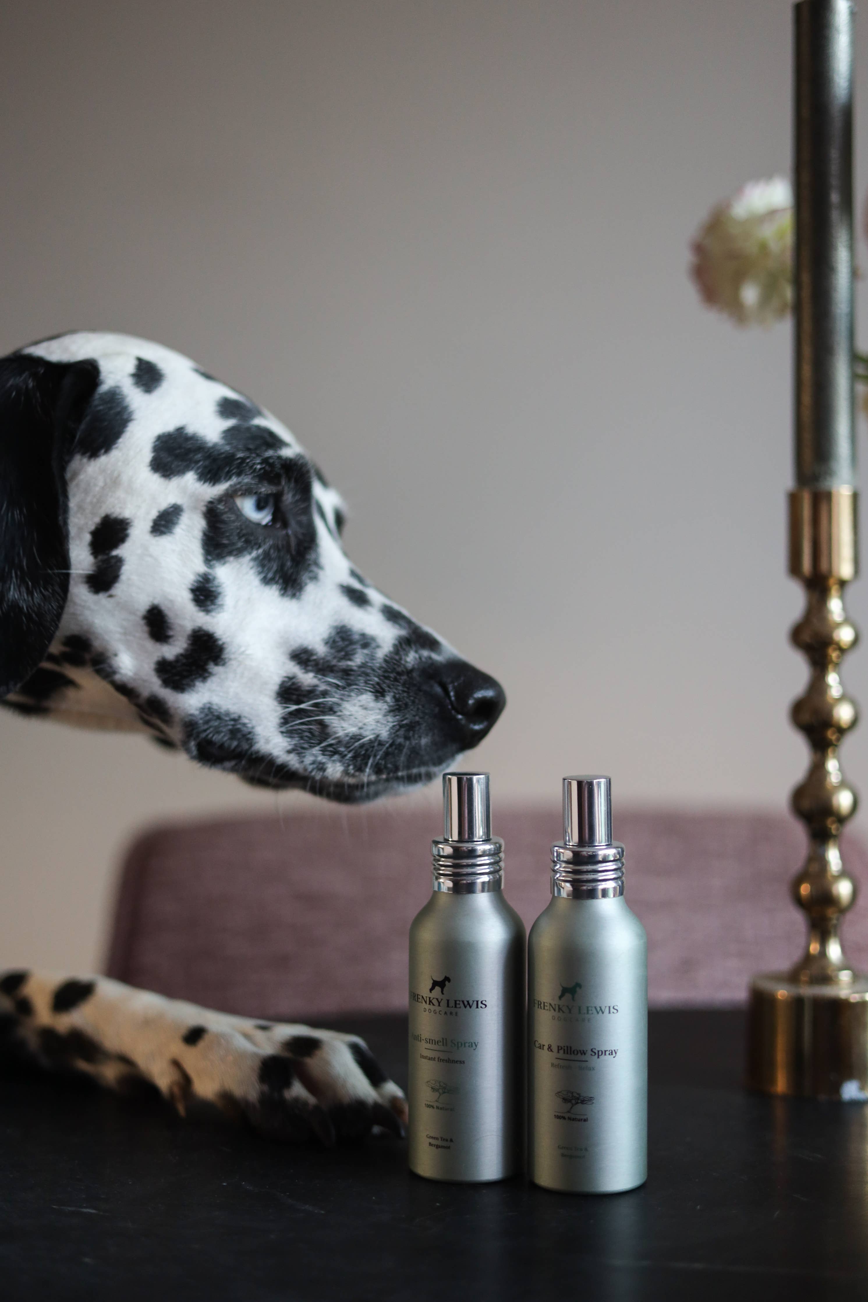 Car- und Kissenspray – Weisse Rose, Lavendel, Ylang Ylang – 100 ml