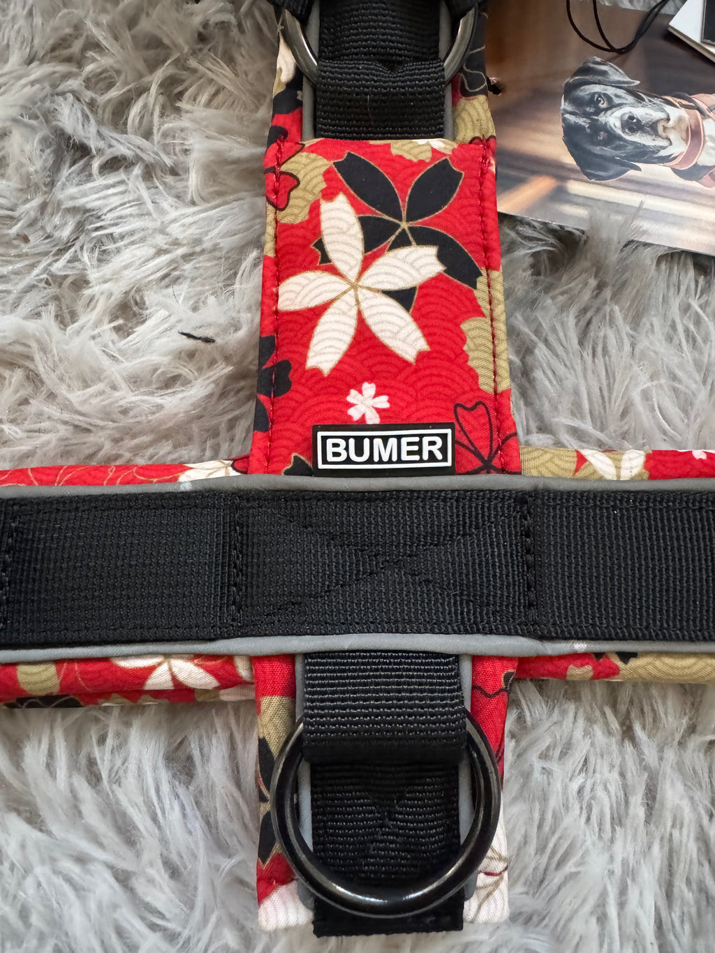 BUMER Hundegeschirr "Japan", M