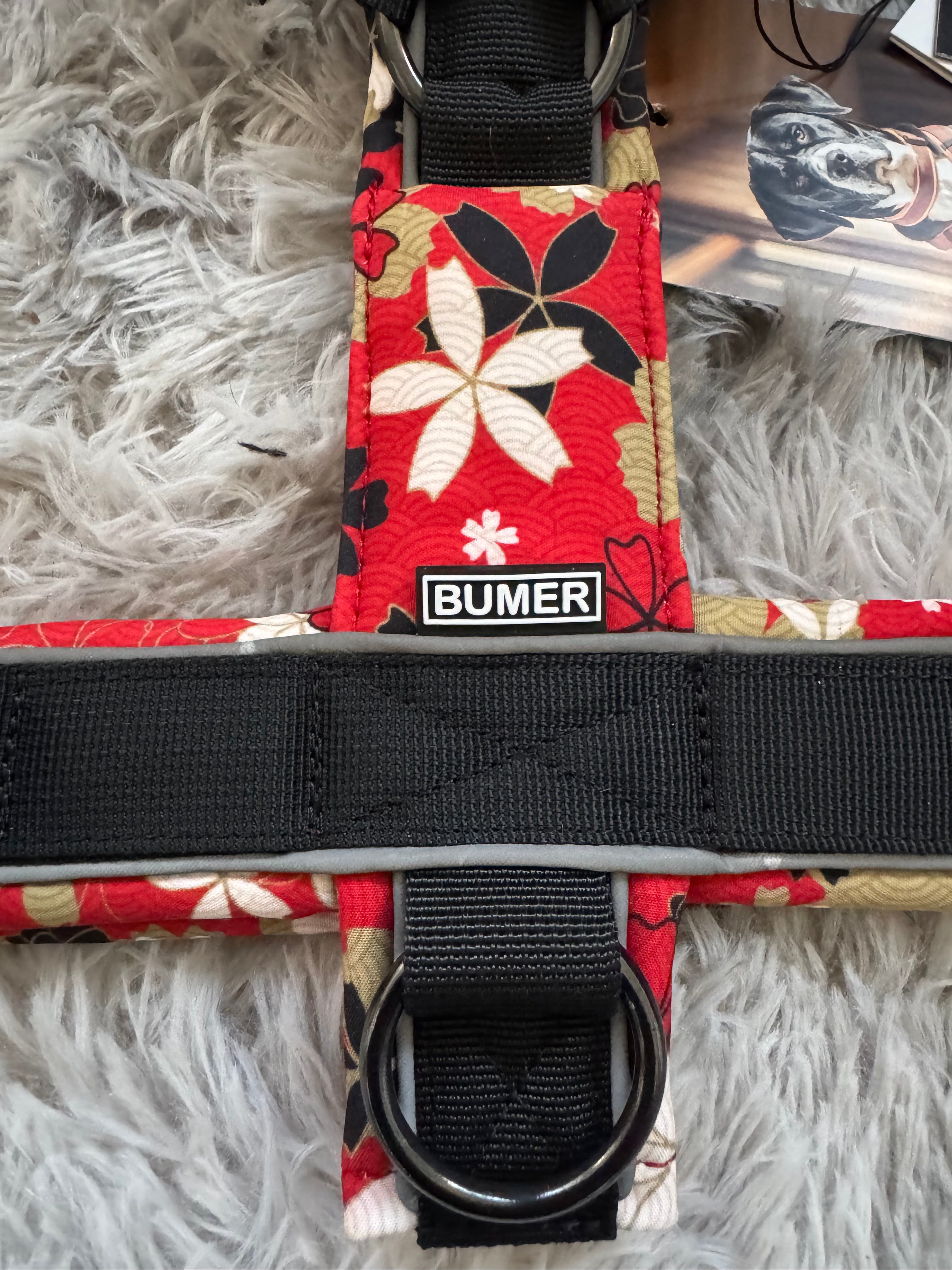 BUMER Hundegeschirr "Japan", M