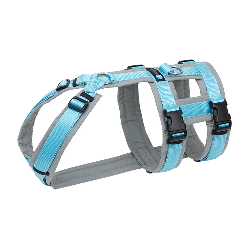 Anny-X Brustgeschirr Safety Fun