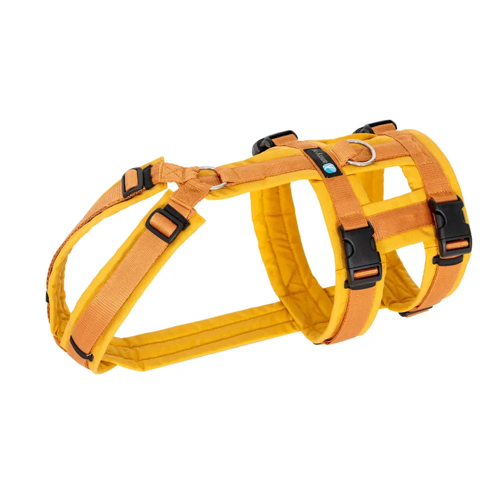 Anny-X Brustgeschirr Safety Fun