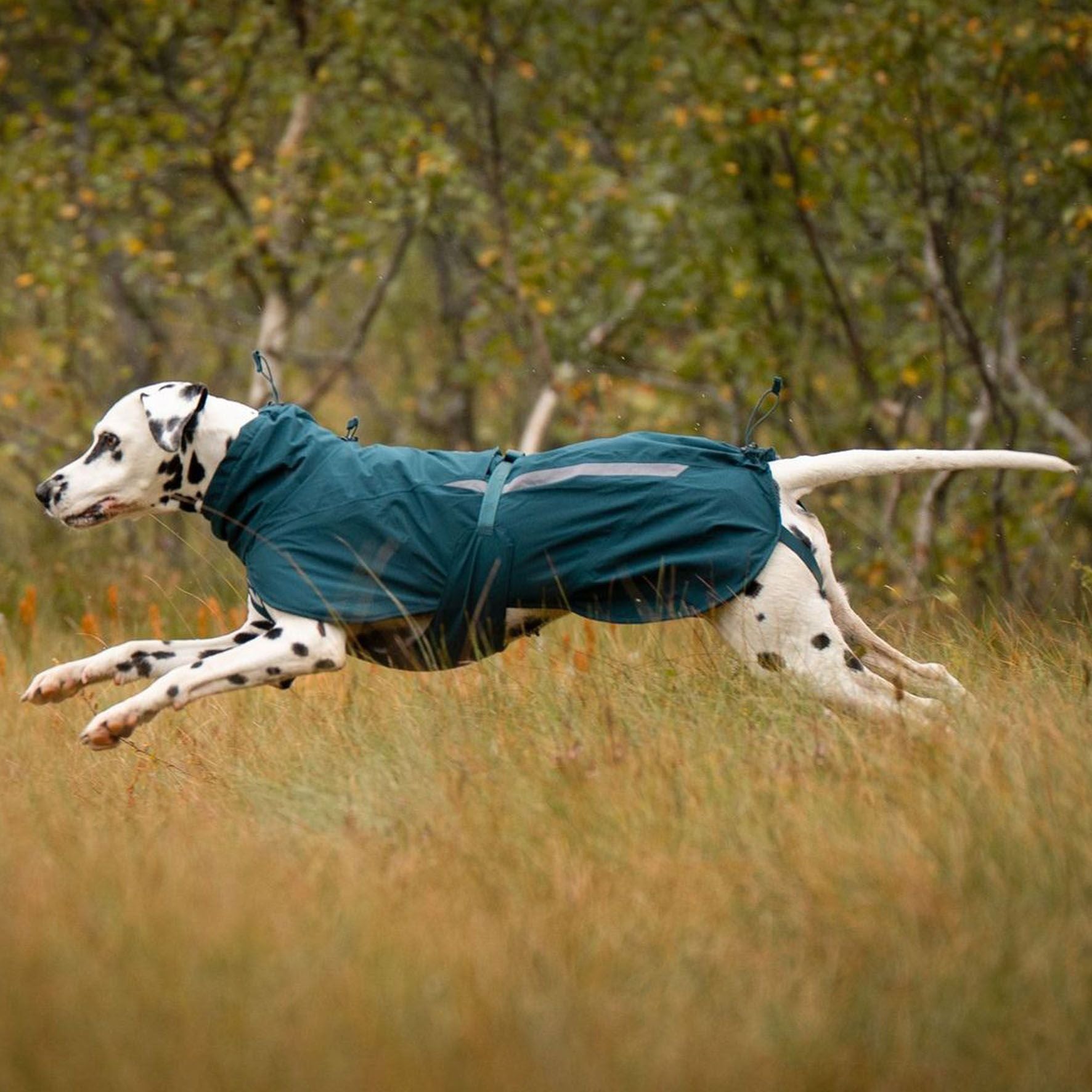 Non-stop dogwear Fjord lined raincoat