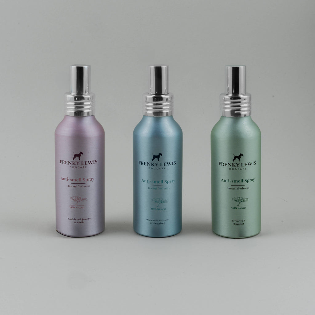 Anti-Geruchs-Spray – Grüner Tee, Bergamotte – 100 ml