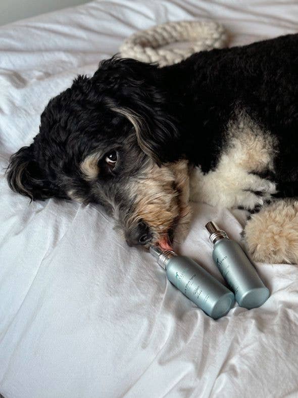 Car- und Kissenspray – Grüner Tee & Bergamotte – 100 ml