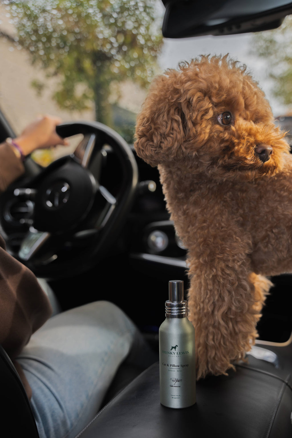 Car- und Kissenspray – Grüner Tee & Bergamotte – 100 ml