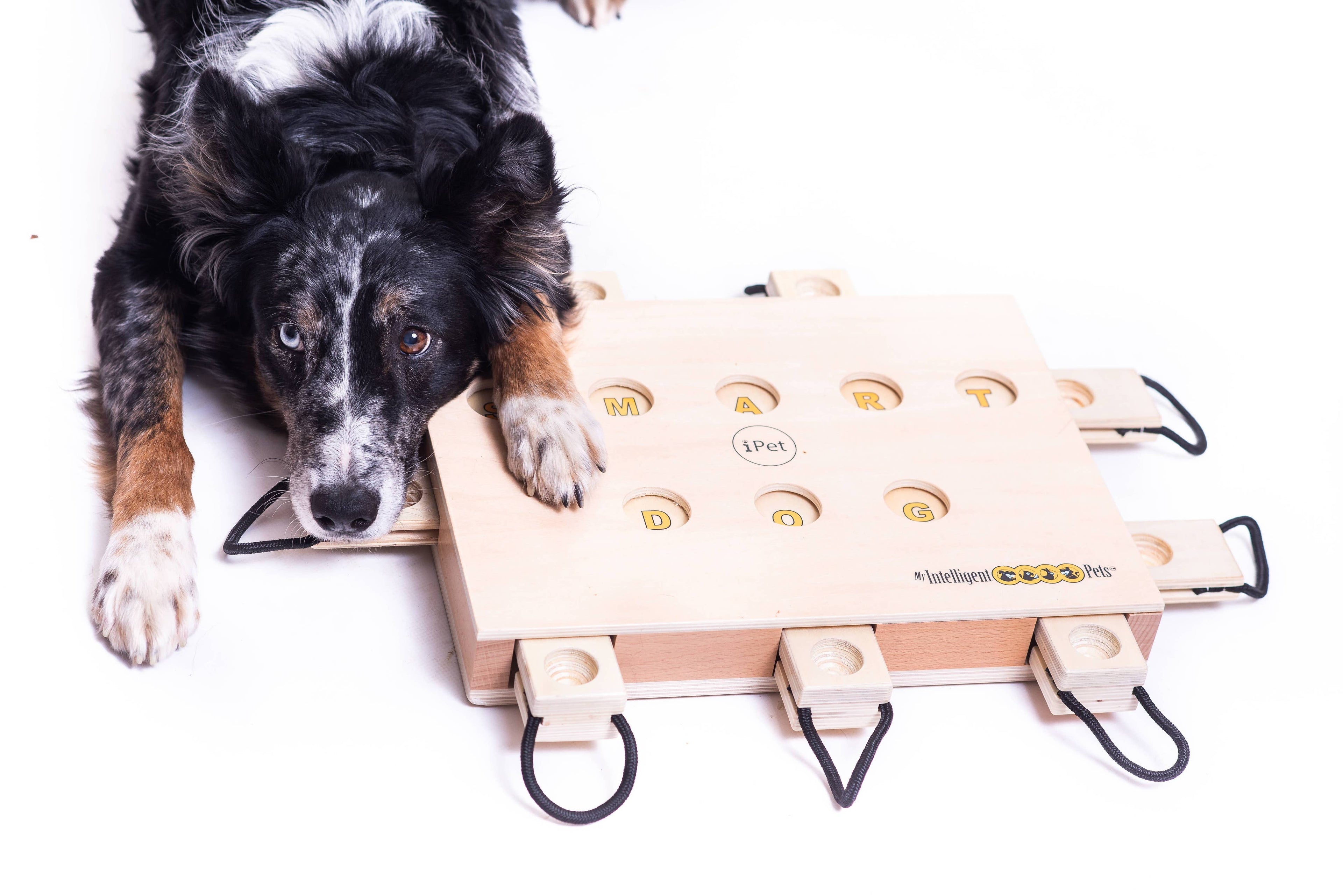IPet - Smart Dog