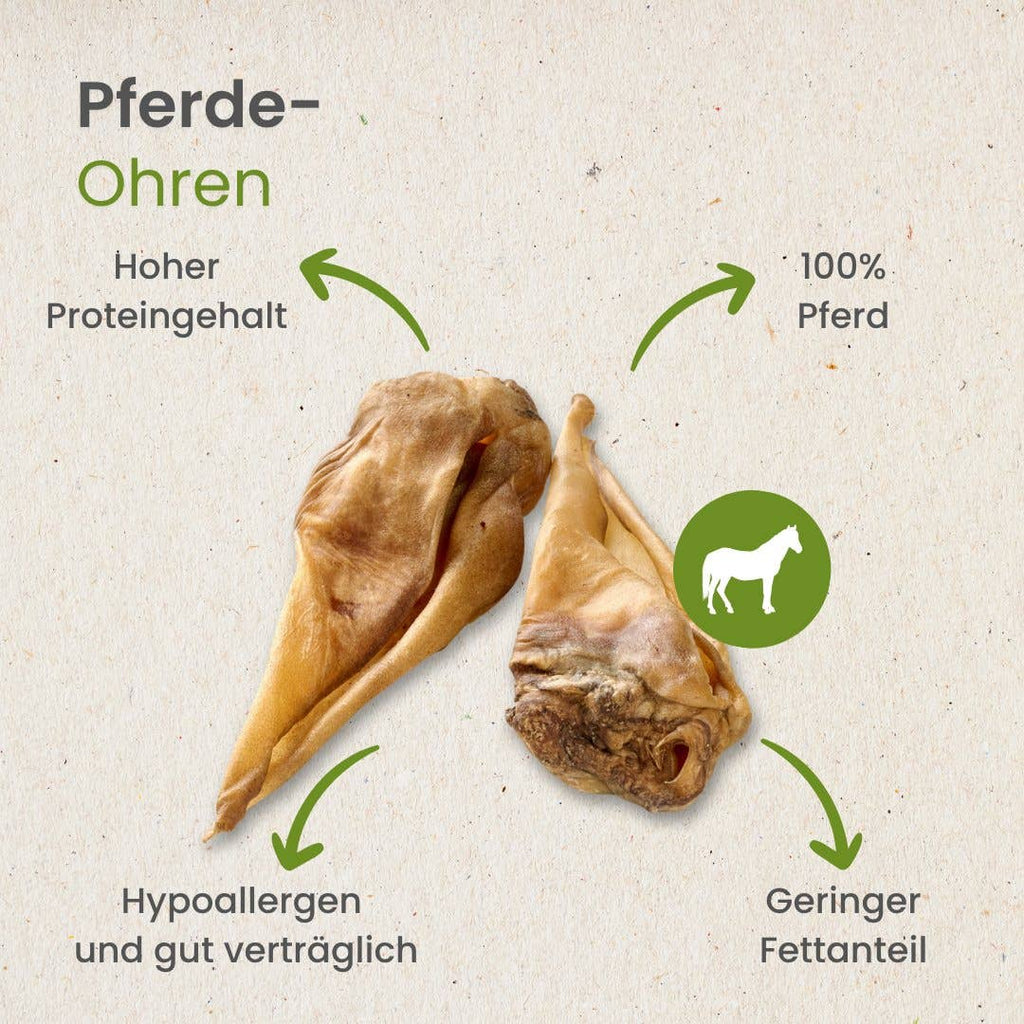 Pferde-Ohren