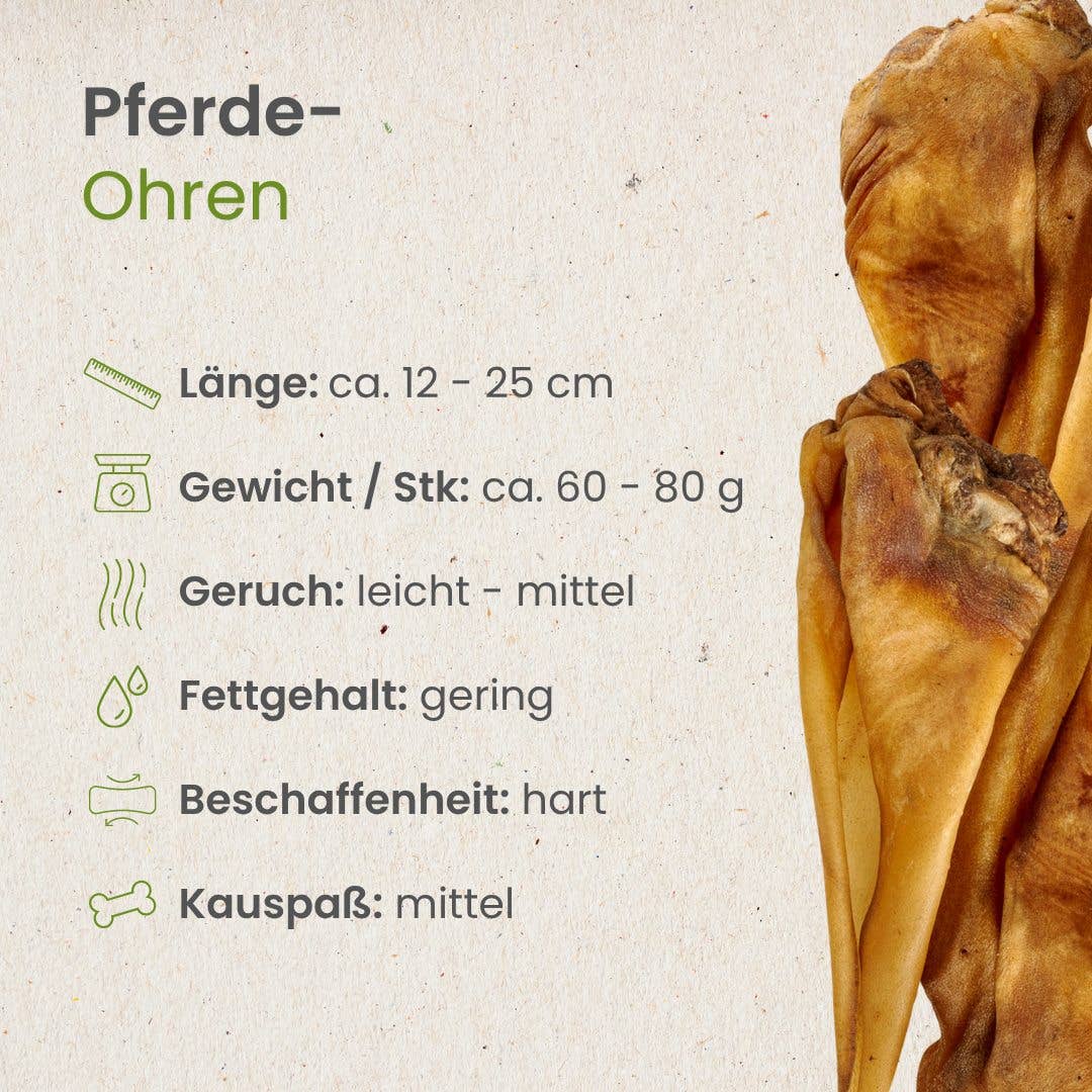 Pferde-Ohren