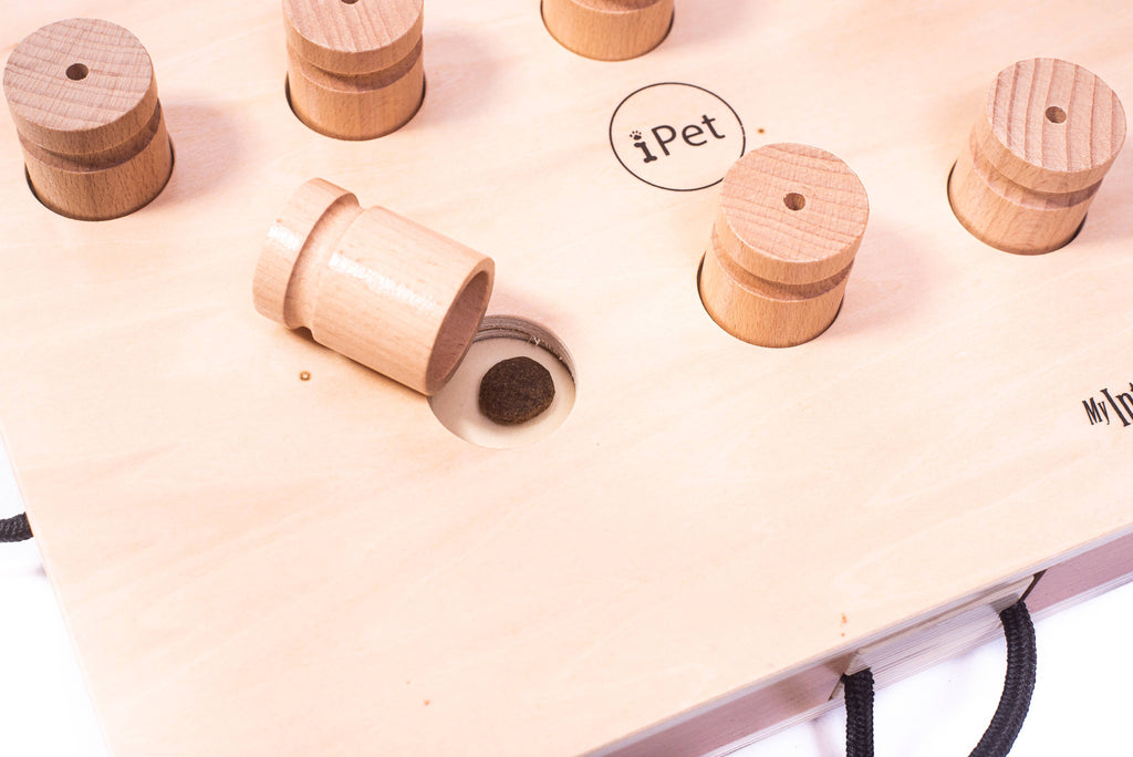 IPet - Smart Dog