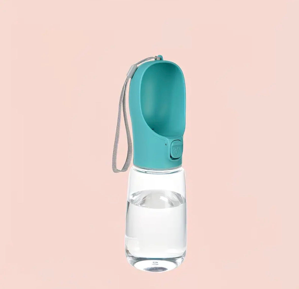 Wasserflasche „H2Ound“