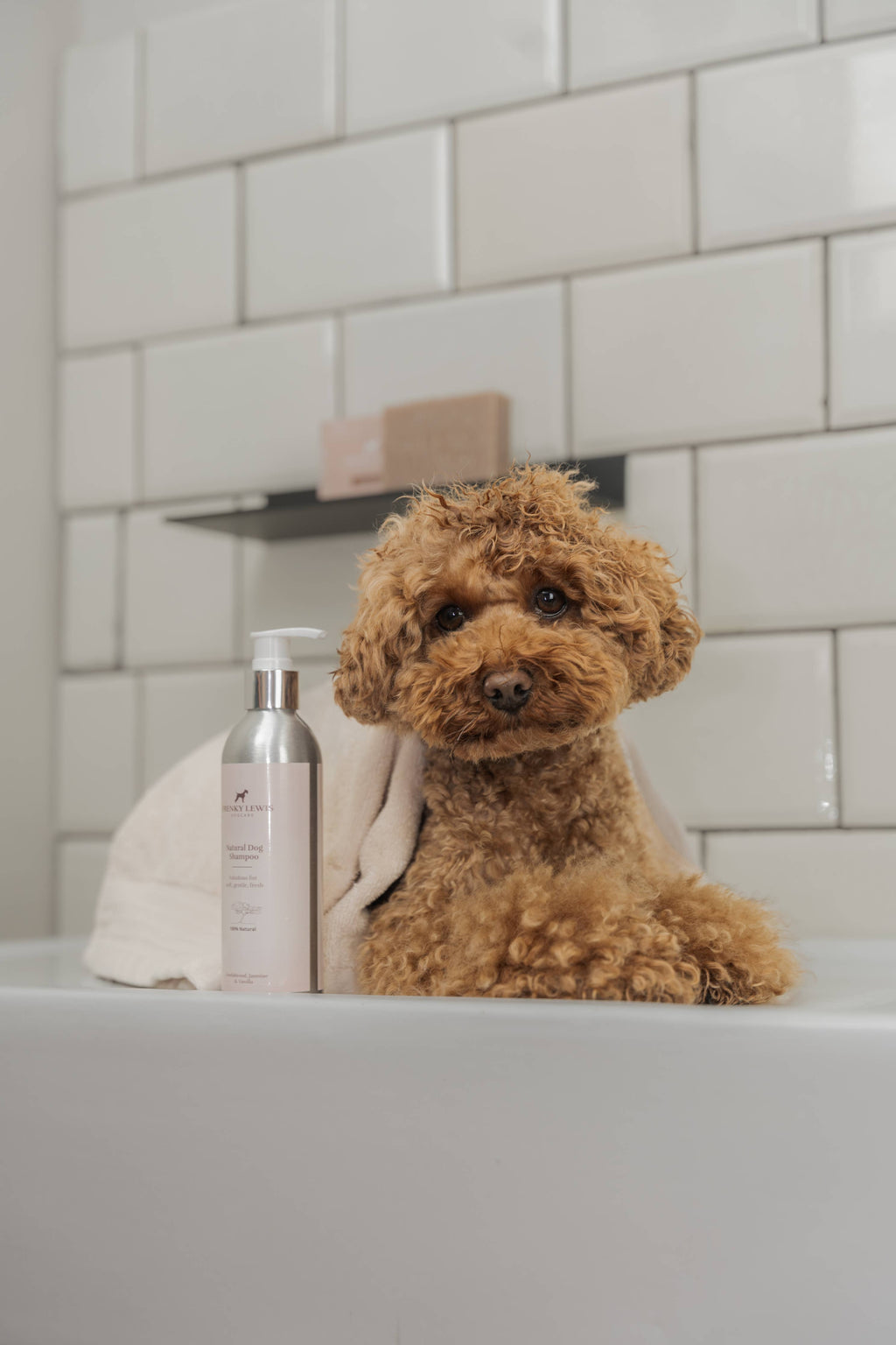 Hundefreundliches Shampoo 200 ml – Weisse Rose, Lavendel, Ylang Ylang