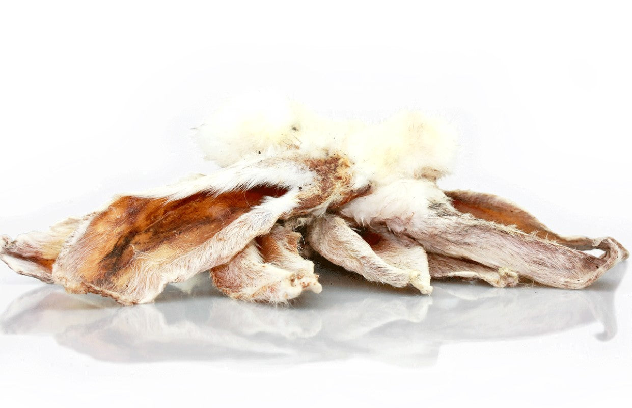 Hasen-Ohren mit Fell