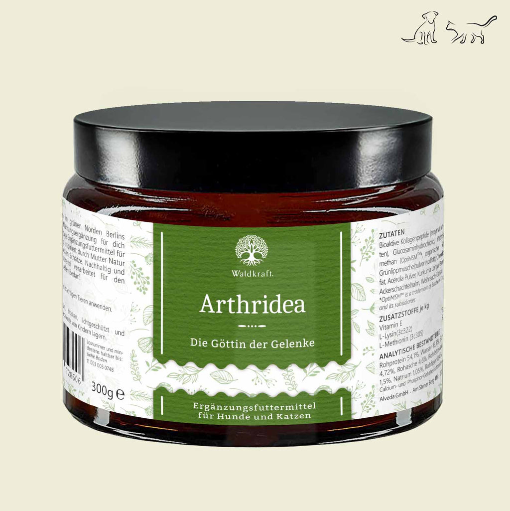 Waldkraft Arthridea - Die Göttin der Gelenke 300g