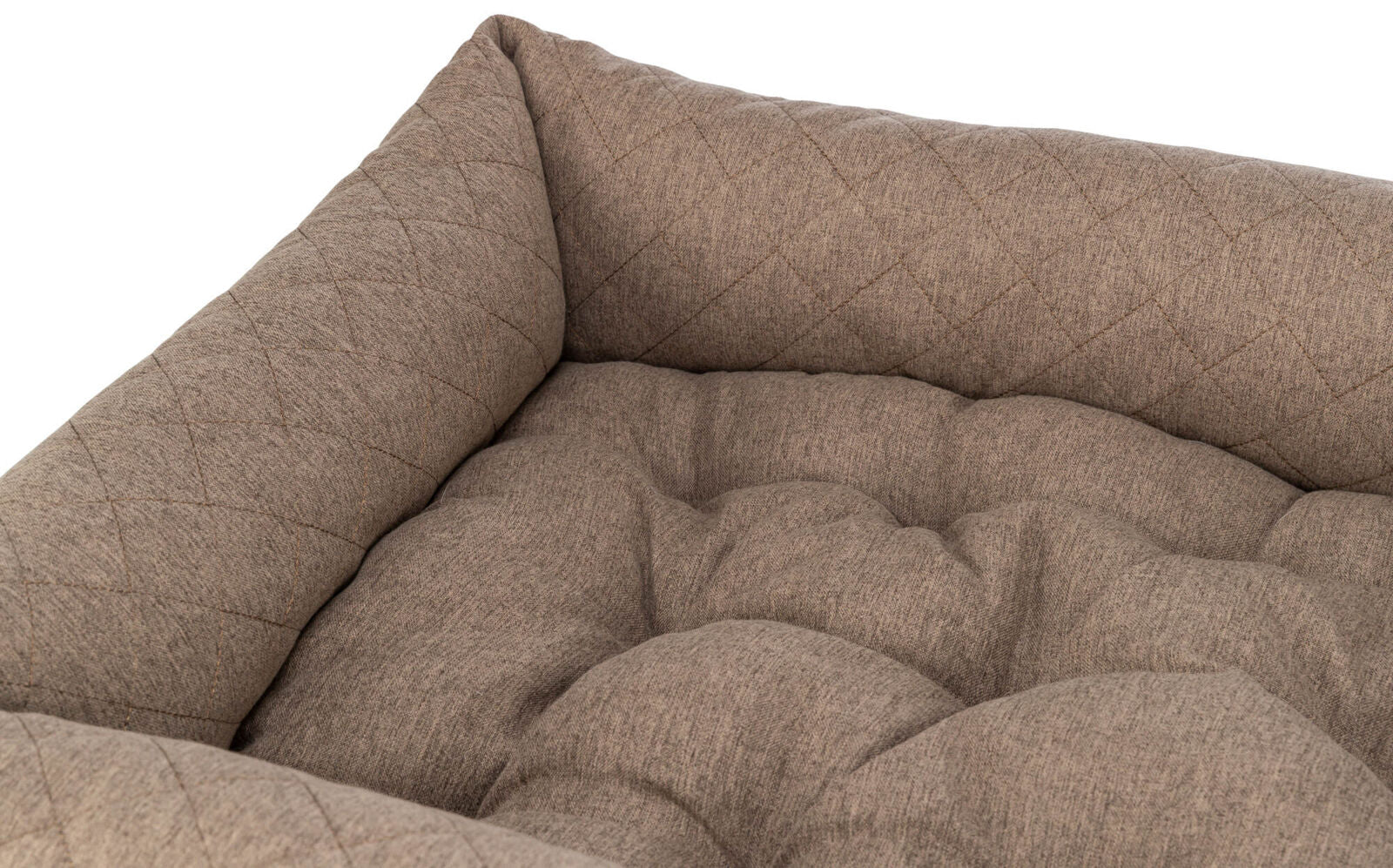 Trixie Bett Caliente