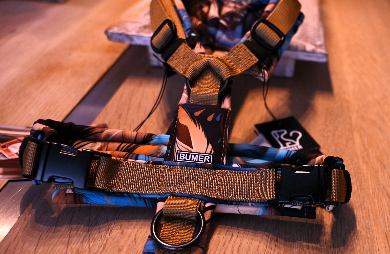 BUMER Hundegeschirr "Golden Wings", XS/S (Einzelanfertigung!)