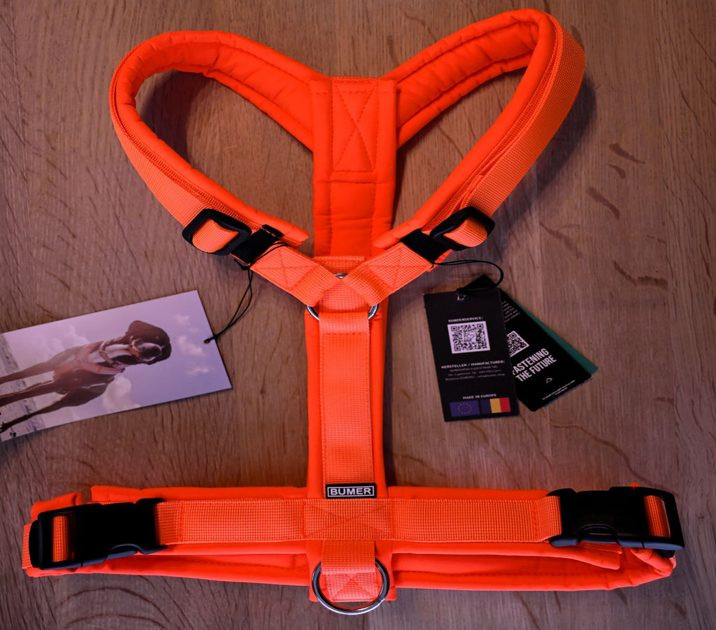 BUMER Hundegeschirr "Neon Orange", L