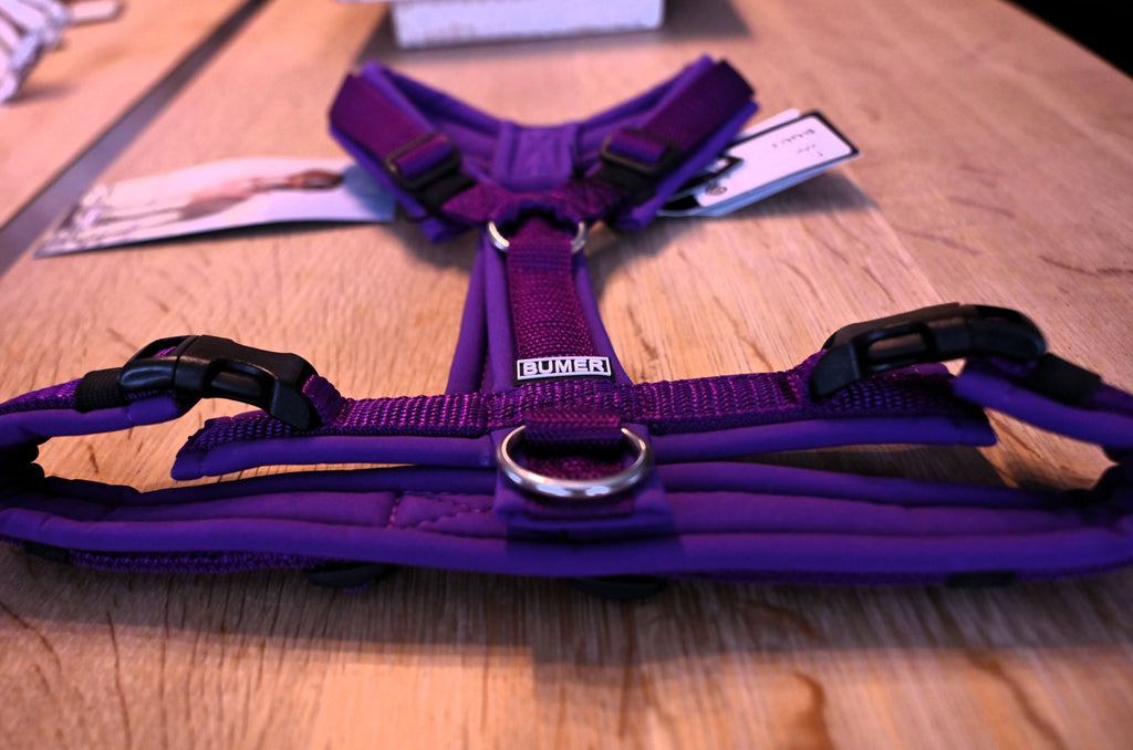 BUMER Hundegeschirr "Purple Rain", S/M
