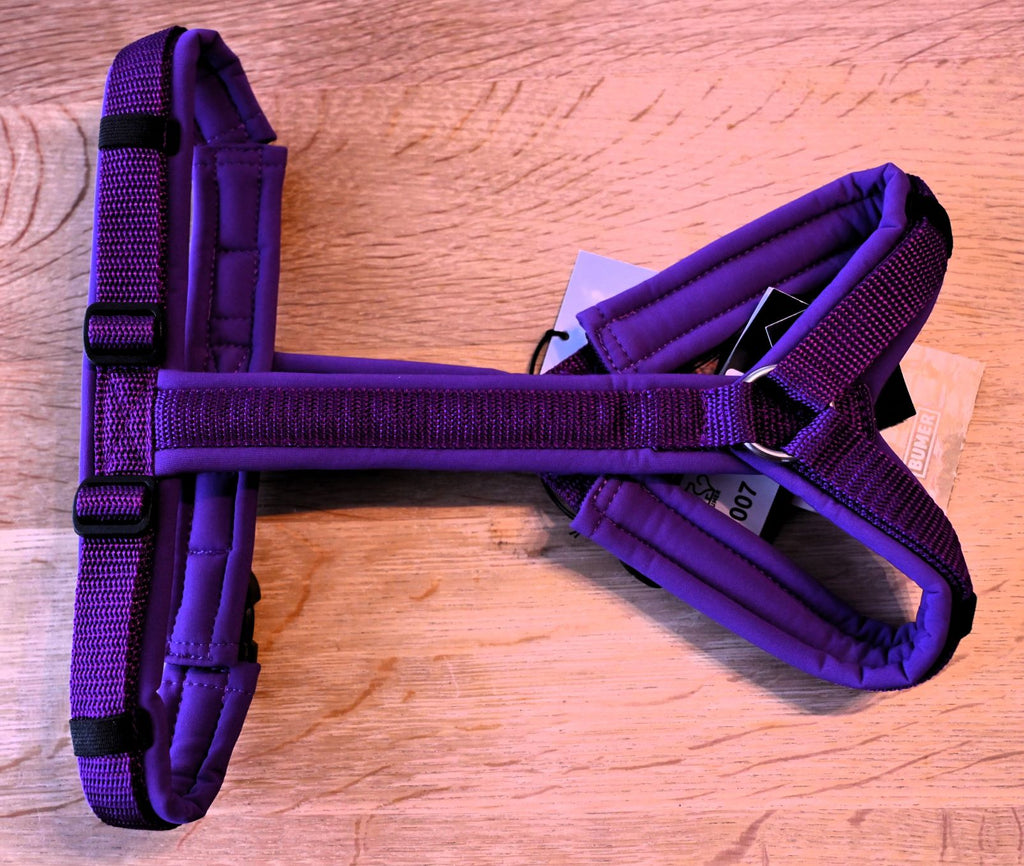 BUMER Hundegeschirr "Purple Rain", S/M