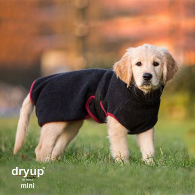 Hundebademantel - Dryup® cape mini (30-45cm Rückenlänge)