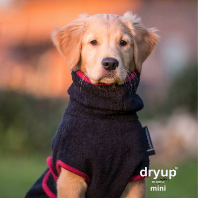 Hundebademantel - Dryup® cape mini (30-45cm Rückenlänge)