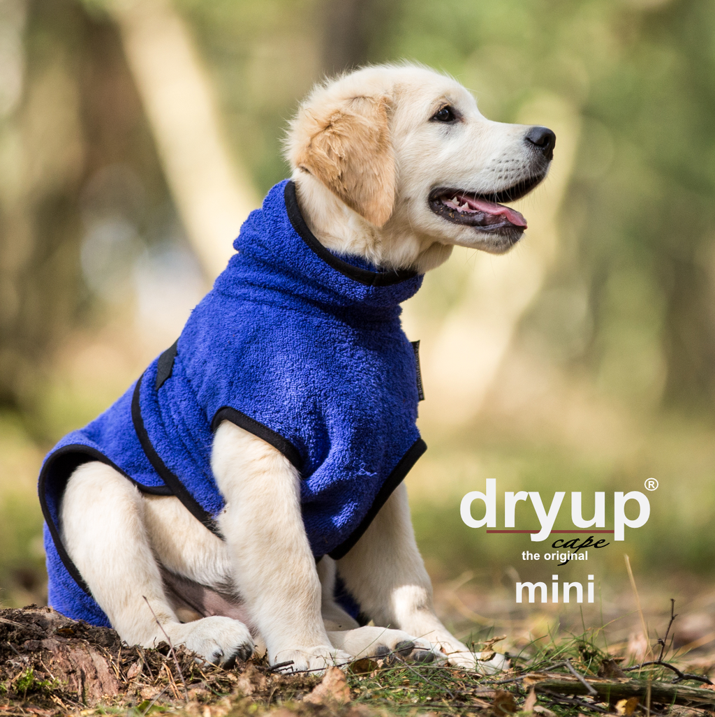 Hundebademantel - Dryup® cape mini (30-45cm Rückenlänge)
