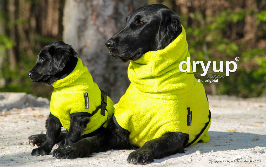 Hundebademantel - Dryup® cape mini (30-45cm Rückenlänge)