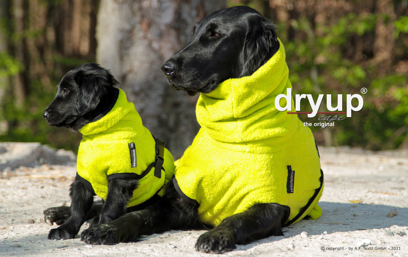 Hundebademantel - Dryup® cape mini (30-45cm Rückenlänge)