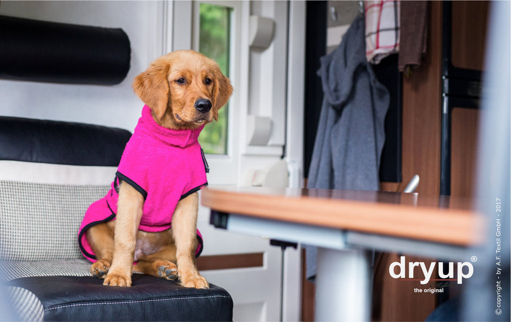 Hundebademantel - Dryup® cape mini (30-45cm Rückenlänge)