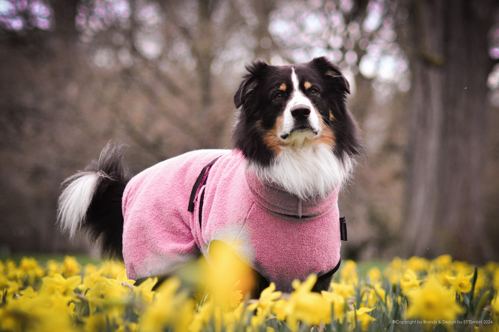 Hundebademantel - Dryup® cape (48-74cm Rückenlänge)