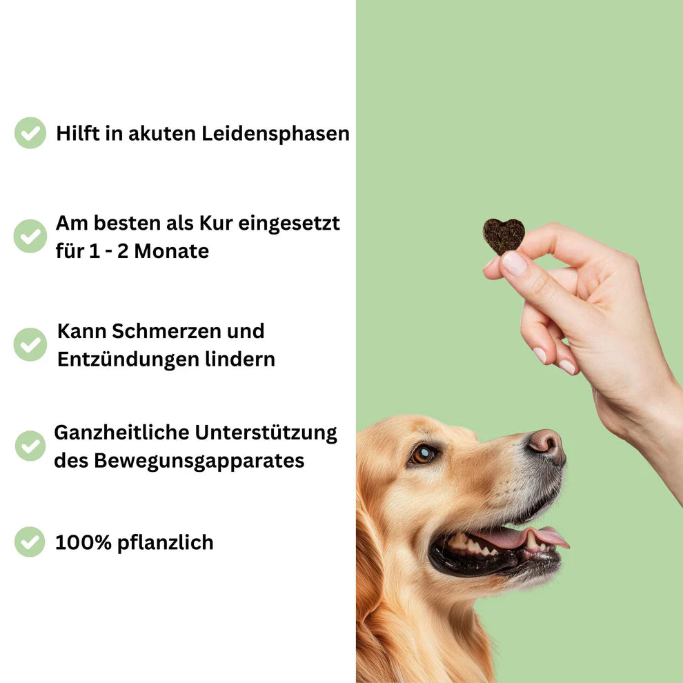 Snoggos Hula Hips Akut