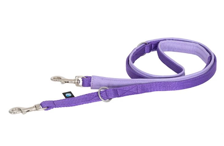 Anny-x Führleine Bolt Fun