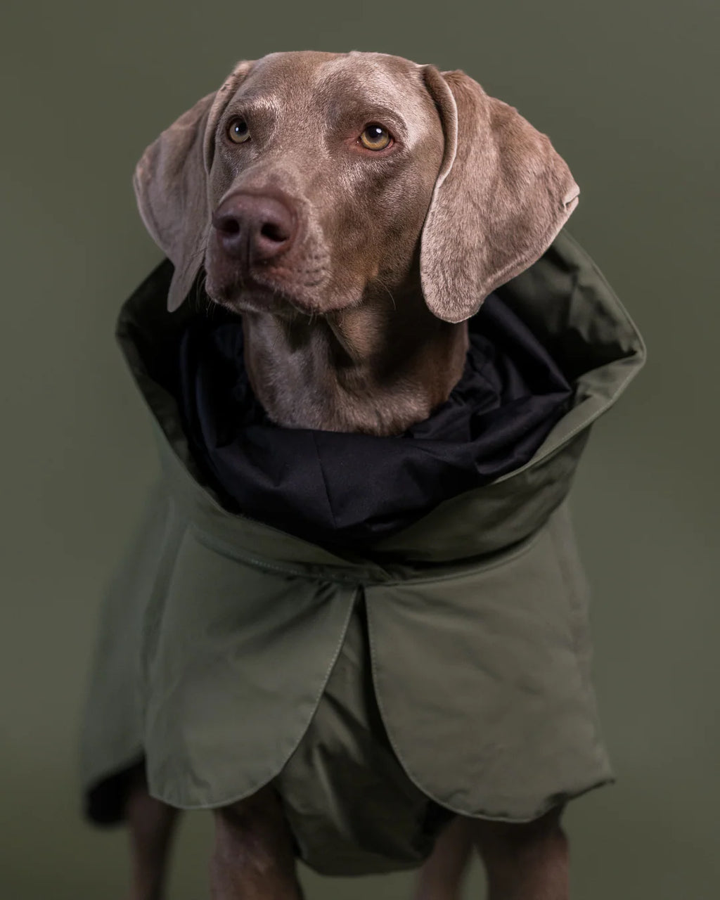 PAIKKA Visibility Winter Jacket Wool Green