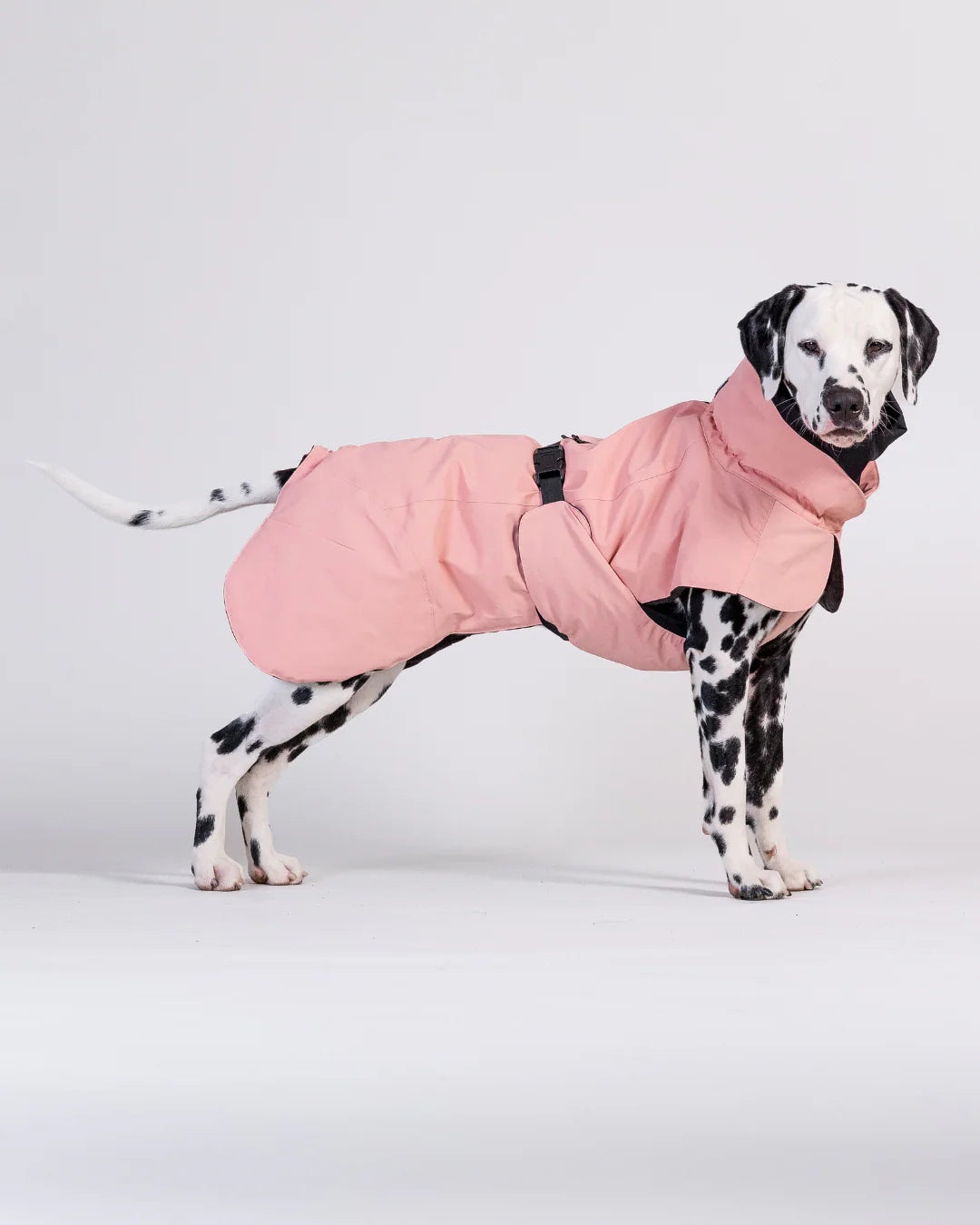 PAIKKA Visibility Winter Jacket Wool Rose