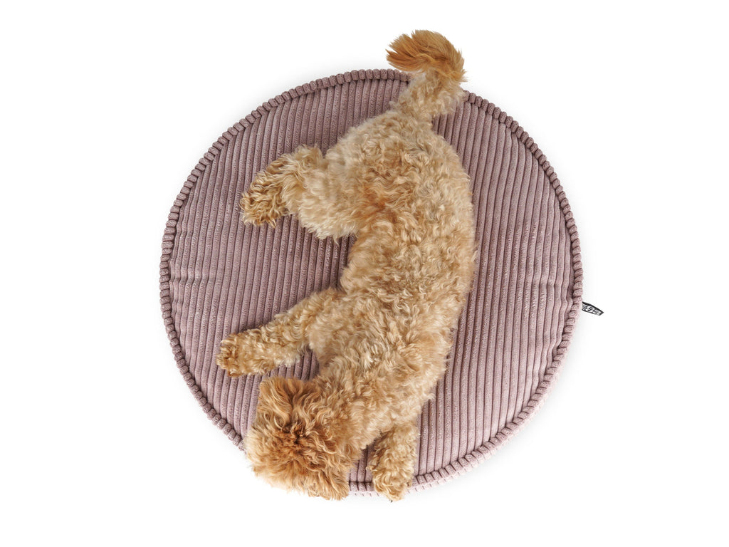 Mypado® Hundekissen Mio Cord