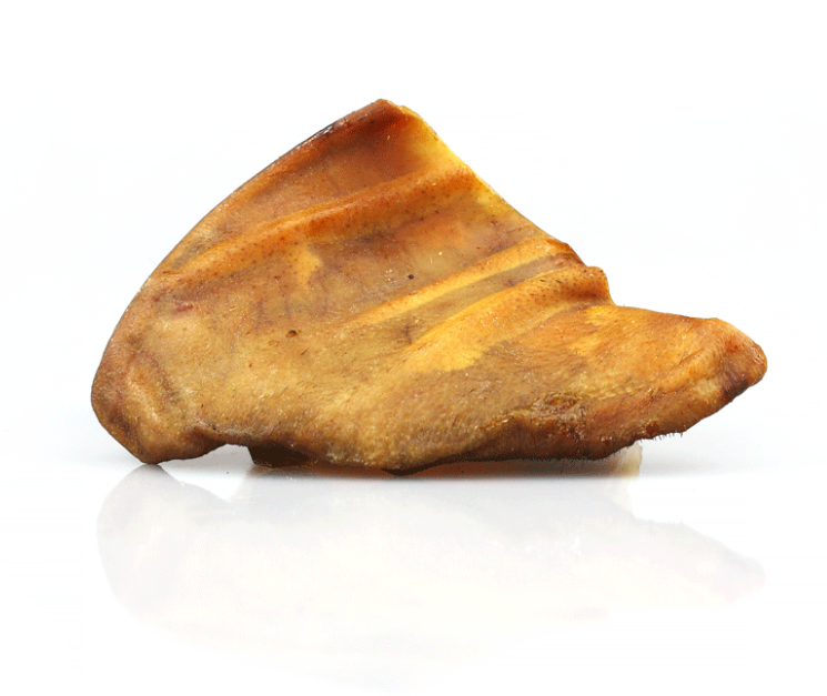 Iberico Schweineohren