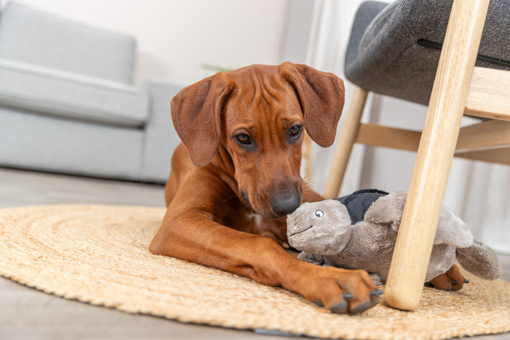 Trixie BE NORDIC Schildkröte Hauke