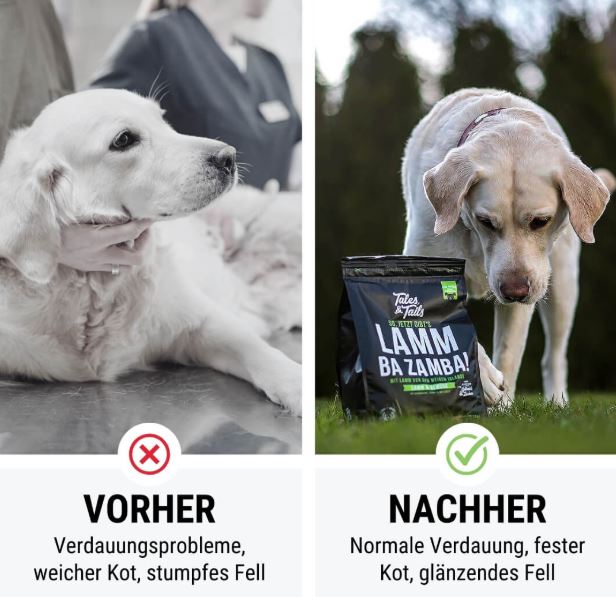 Tales&Tails LammBa Zamba!